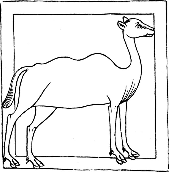 Иллюстрация к книге — Средневековый бестиарий. Что думали наши предки об окружающем их мире [i_041.jpg]