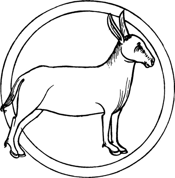 Иллюстрация к книге — Средневековый бестиарий. Что думали наши предки об окружающем их мире [i_043.jpg]