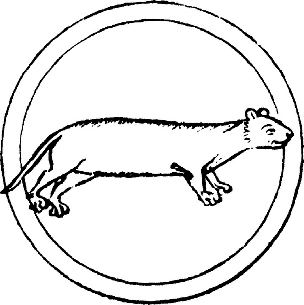 Иллюстрация к книге — Средневековый бестиарий. Что думали наши предки об окружающем их мире [i_048.jpg]