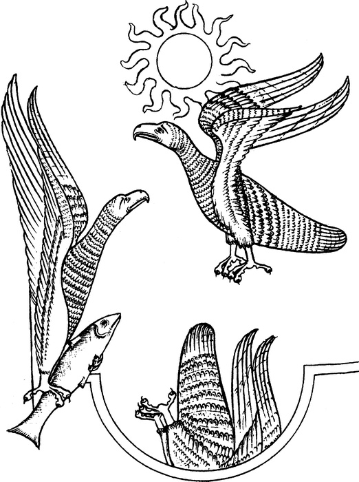 Иллюстрация к книге — Средневековый бестиарий. Что думали наши предки об окружающем их мире [i_051.jpg]