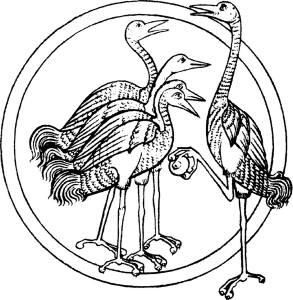 Иллюстрация к книге — Средневековый бестиарий. Что думали наши предки об окружающем их мире [i_053.jpg]