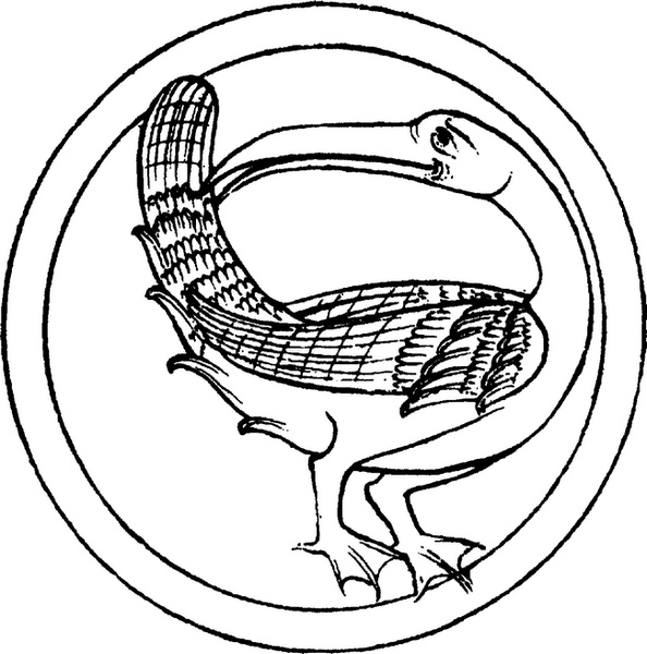 Иллюстрация к книге — Средневековый бестиарий. Что думали наши предки об окружающем их мире [i_061.jpg]