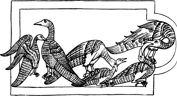 Иллюстрация к книге — Средневековый бестиарий. Что думали наши предки об окружающем их мире [i_067.jpg]