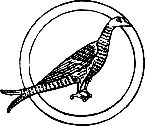 Иллюстрация к книге — Средневековый бестиарий. Что думали наши предки об окружающем их мире [i_080.jpg]