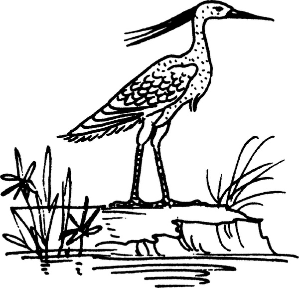 Иллюстрация к книге — Средневековый бестиарий. Что думали наши предки об окружающем их мире [i_125.jpg]