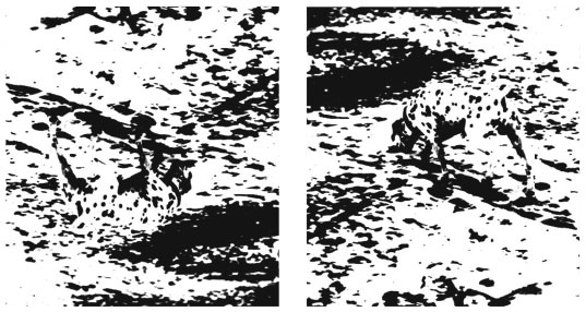 Иллюстрация к книге — Психология города. Как быть счастливым в мегаполисе [i_012.jpg]