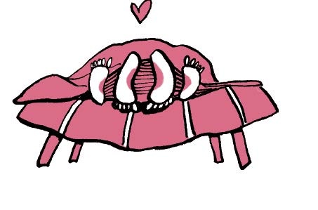 Иллюстрация к книге — Обои-убийцы, ядовитая вода и стул-обольститель. Как выжить в собственной квартире [i_014.jpg]