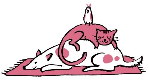 Иллюстрация к книге — Обои-убийцы, ядовитая вода и стул-обольститель. Как выжить в собственной квартире [i_024.jpg]