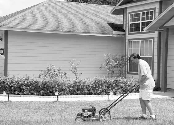 Иллюстрация к книге — Homo Deus. Краткая история будущего [i_009.jpg]