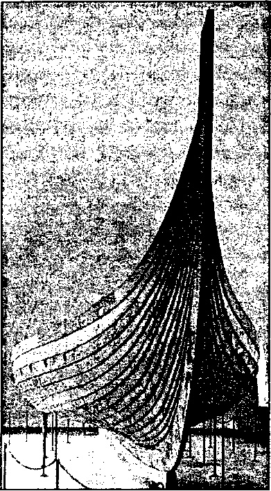 Иллюстрация к книге — Викинги. Между Скандинавией и Русью [doc2fb_image_03000005.jpg]