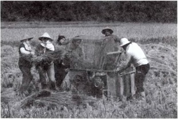 Иллюстрация к книге — Цивилизации [i_019.jpg]