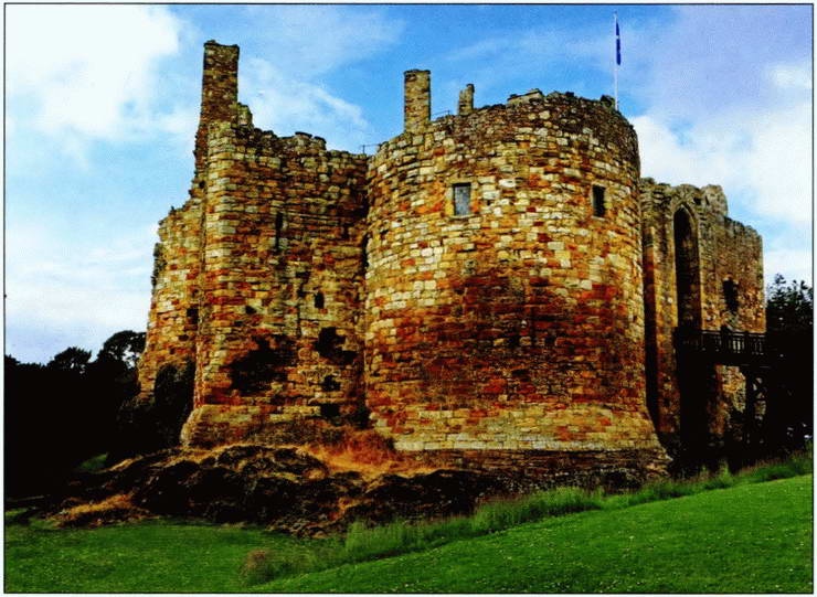 Иллюстрация к книге — Рожденная в битвах. Шотландия до конца XIV века [i_058.jpg]