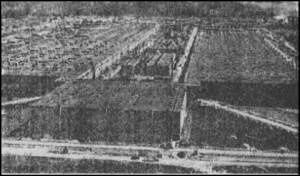 Иллюстрация к книге — Черное солнце Третьего рейха. Битва за &quot;оружие возмездия&quot; [i_006.jpg]