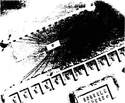 Иллюстрация к книге — Боевая машина Гизы [i_021.jpg]