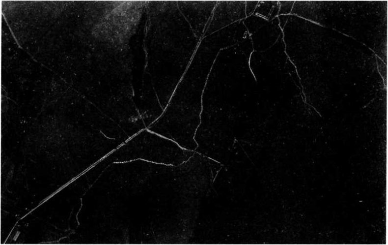 Иллюстрация к книге — "Илья Муромец". Гордость русской авиации [i_197.jpg]