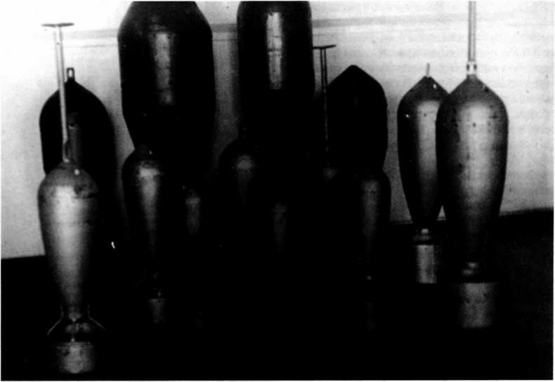 Иллюстрация к книге — "Илья Муромец". Гордость русской авиации [i_237.jpg]