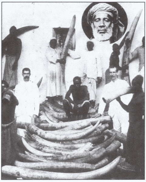 Иллюстрация к книге — Португальская колониальная империя. 1415-1974 [i_034.jpg]