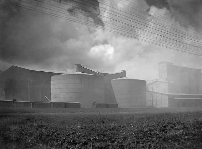 Иллюстрация к книге — Пинхас Рутенберг. От террориста к сионисту. Том II: В Палестине (1919–1942) [i_033.jpg]