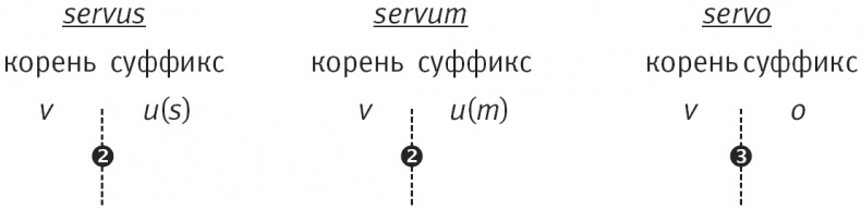 Иллюстрация к книге — Тайна лабиринта. Как была прочитана забытая письменность [_133.jpg]