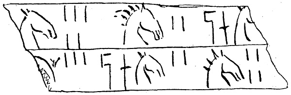 Иллюстрация к книге — Тайна лабиринта. Как была прочитана забытая письменность [_216.jpg]