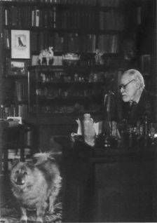 Иллюстрация к книге — Повседневная жизнь Фрейда и его пациентов [pic_12.jpg]