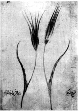 Иллюстрация к книге — История Османской империи. Видение Османа [i_028.jpg]