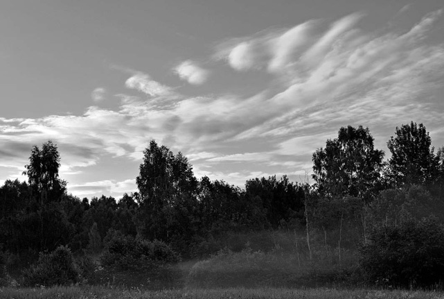 Иллюстрация к книге — Голубиная книга анархиста [i_003.jpg]