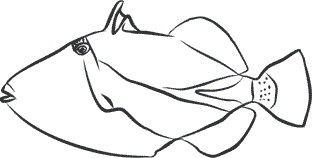 Иллюстрация к книге — 1111 удивительных фактов, которых вы не знали [i_026.jpg]