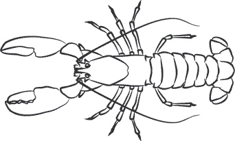 Иллюстрация к книге — 1111 удивительных фактов, которых вы не знали [i_028.jpg]