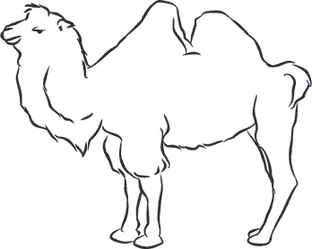 Иллюстрация к книге — 1111 удивительных фактов, которых вы не знали [i_046.jpg]