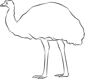 Иллюстрация к книге — 1111 удивительных фактов, которых вы не знали [i_047.jpg]