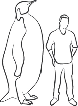 Иллюстрация к книге — 1111 удивительных фактов, которых вы не знали [i_049.jpg]