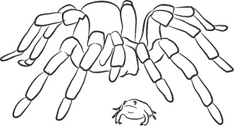 Иллюстрация к книге — 1111 удивительных фактов, которых вы не знали [i_054.jpg]