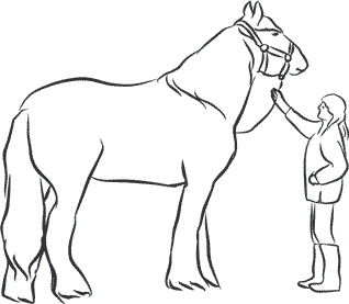 Иллюстрация к книге — 1111 удивительных фактов, которых вы не знали [i_061.jpg]