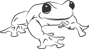 Иллюстрация к книге — 1111 удивительных фактов, которых вы не знали [i_063.jpg]