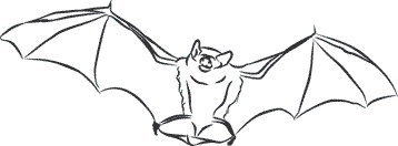 Иллюстрация к книге — 1111 удивительных фактов, которых вы не знали [i_096.jpg]