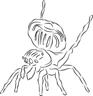 Иллюстрация к книге — 1111 удивительных фактов, которых вы не знали [i_107.jpg]