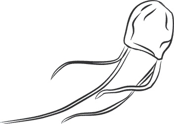 Иллюстрация к книге — 1111 удивительных фактов, которых вы не знали [i_115.jpg]