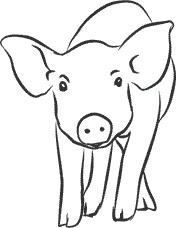 Иллюстрация к книге — 1111 удивительных фактов, которых вы не знали [i_120.jpg]