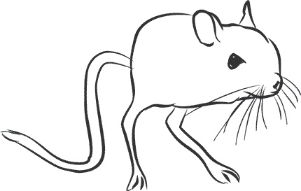 Иллюстрация к книге — 1111 удивительных фактов, которых вы не знали [i_125.jpg]