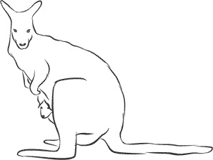 Иллюстрация к книге — 1111 удивительных фактов, которых вы не знали [i_127.jpg]