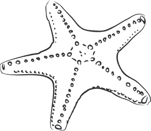 Иллюстрация к книге — 1111 удивительных фактов, которых вы не знали [i_134.jpg]