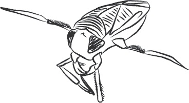 Иллюстрация к книге — 1111 удивительных фактов, которых вы не знали [i_137.jpg]