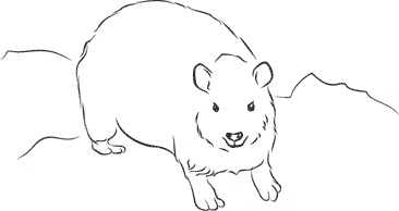 Иллюстрация к книге — 1111 удивительных фактов, которых вы не знали [i_138.jpg]