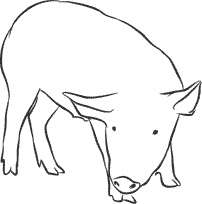 Иллюстрация к книге — 1111 удивительных фактов, которых вы не знали [i_161.jpg]