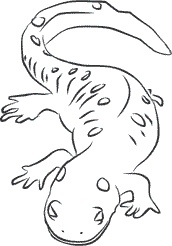 Иллюстрация к книге — 1111 удивительных фактов, которых вы не знали [i_170.jpg]