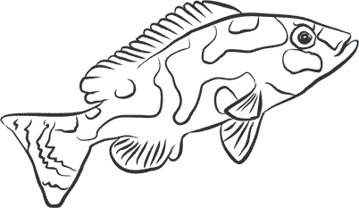 Иллюстрация к книге — 1111 удивительных фактов, которых вы не знали [i_178.jpg]