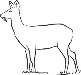 Иллюстрация к книге — 1111 удивительных фактов, которых вы не знали [i_181.jpg]