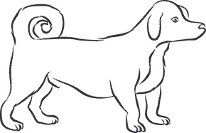 Иллюстрация к книге — 1111 удивительных фактов, которых вы не знали [i_194.jpg]