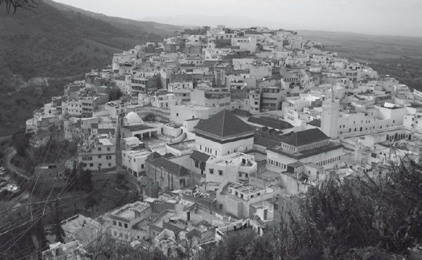 Иллюстрация к книге — История ислама. Исламская цивилизация от рождения до наших дней [i_069.jpg]